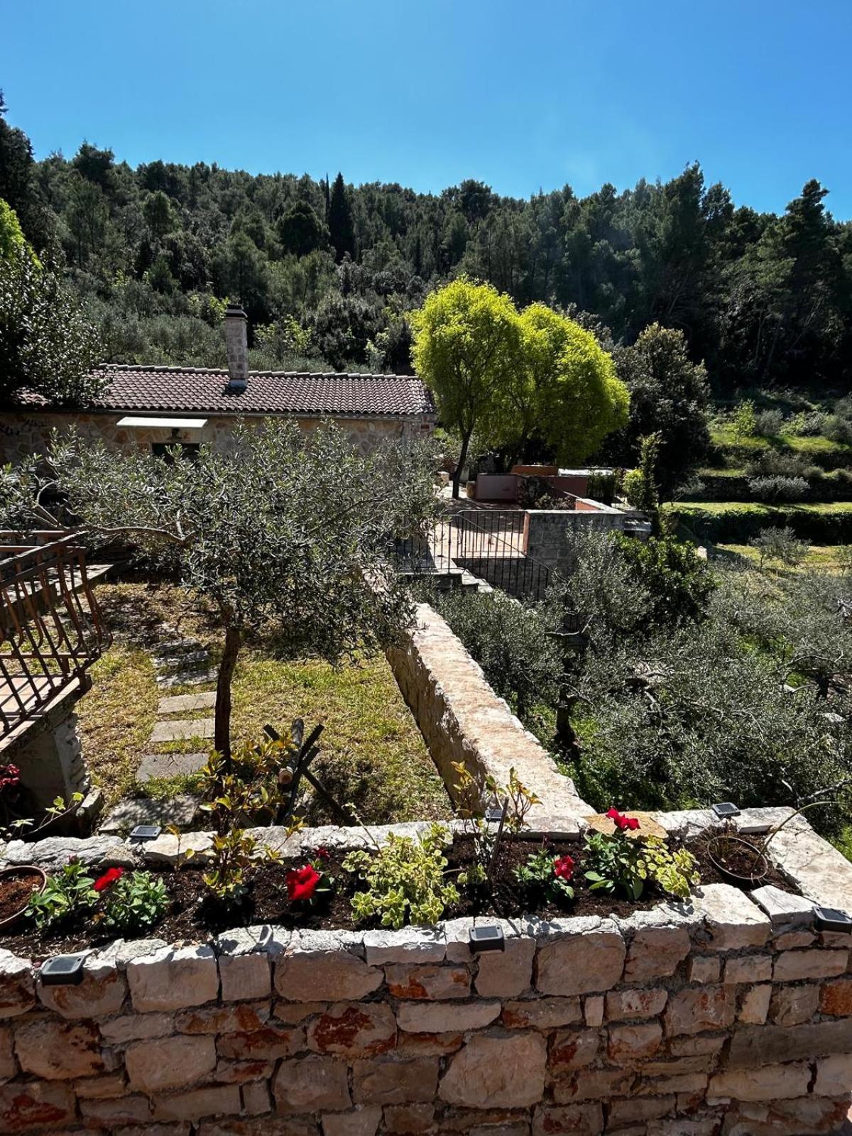 Merlo House Dol Hvar Stari Grad (Hvar) Exterior foto